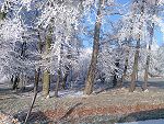 Winter auf Rügen